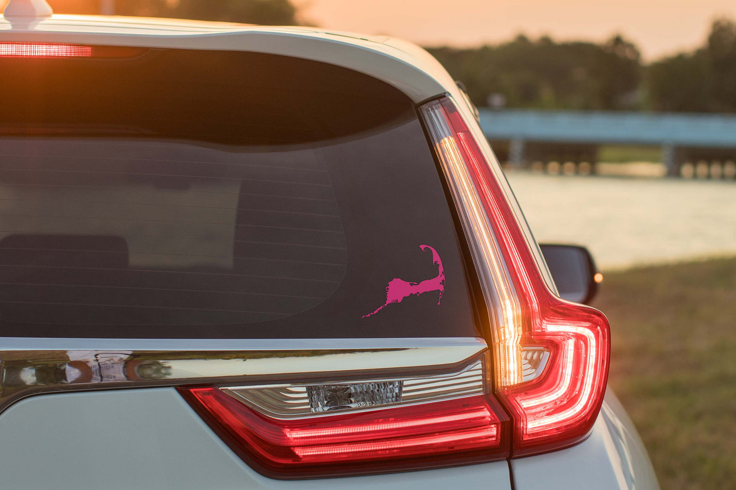 Detailed Cape Cod Vinyl Sticker