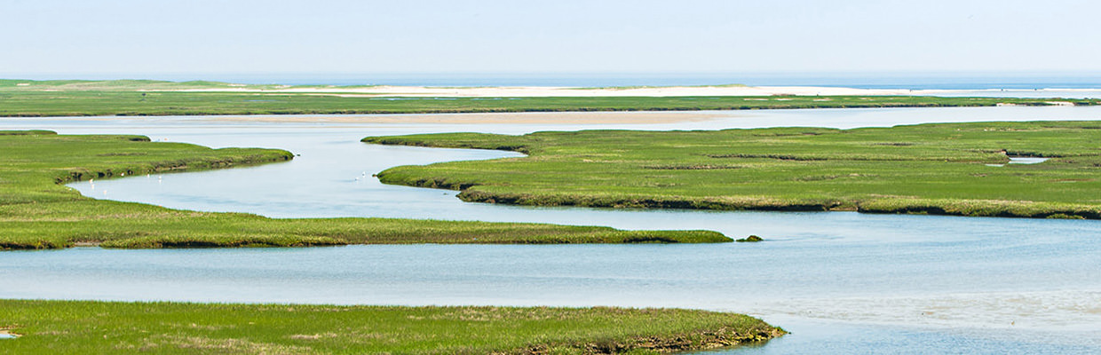 Supporting the Cape Cod National Seashore