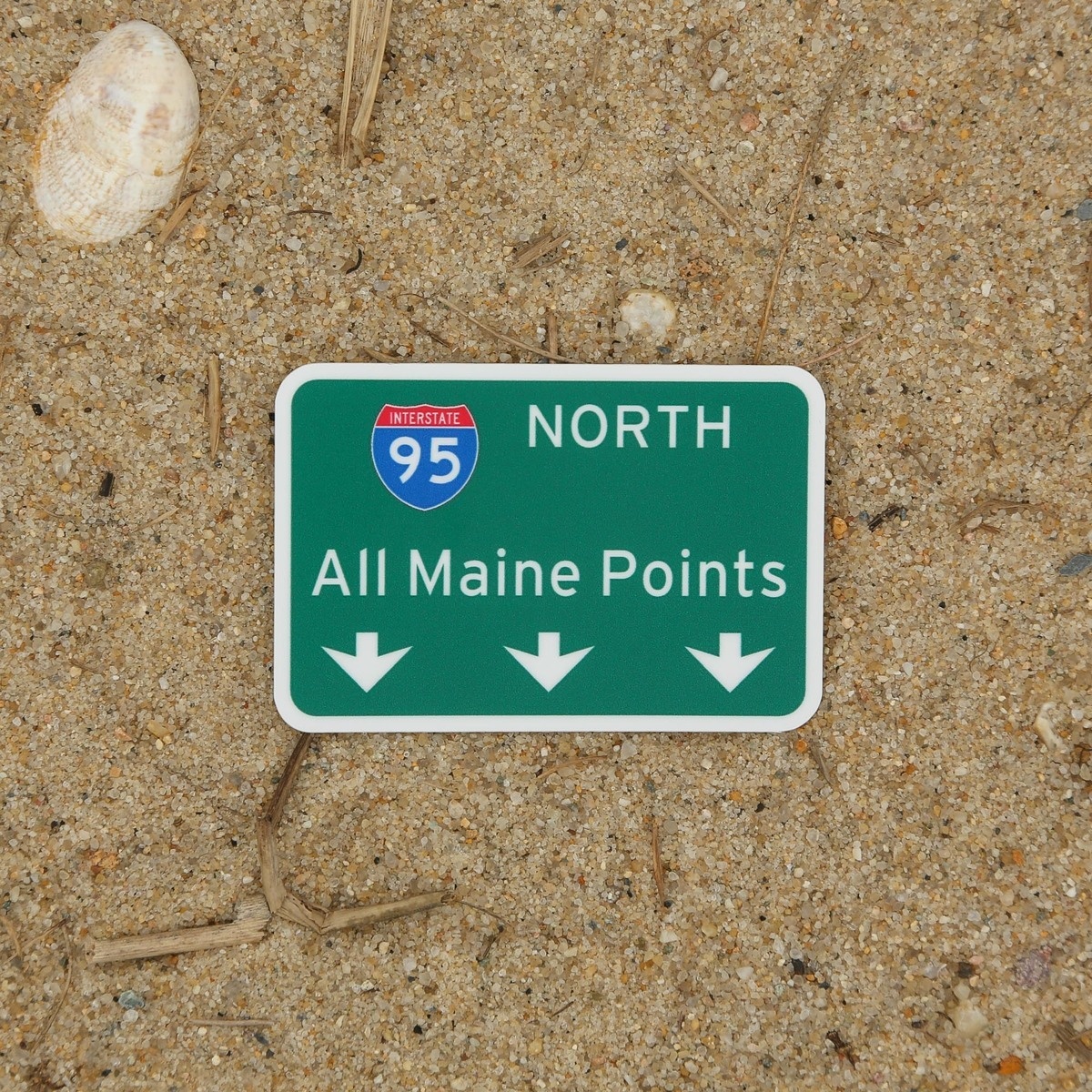 All Maine Points Sticker main image