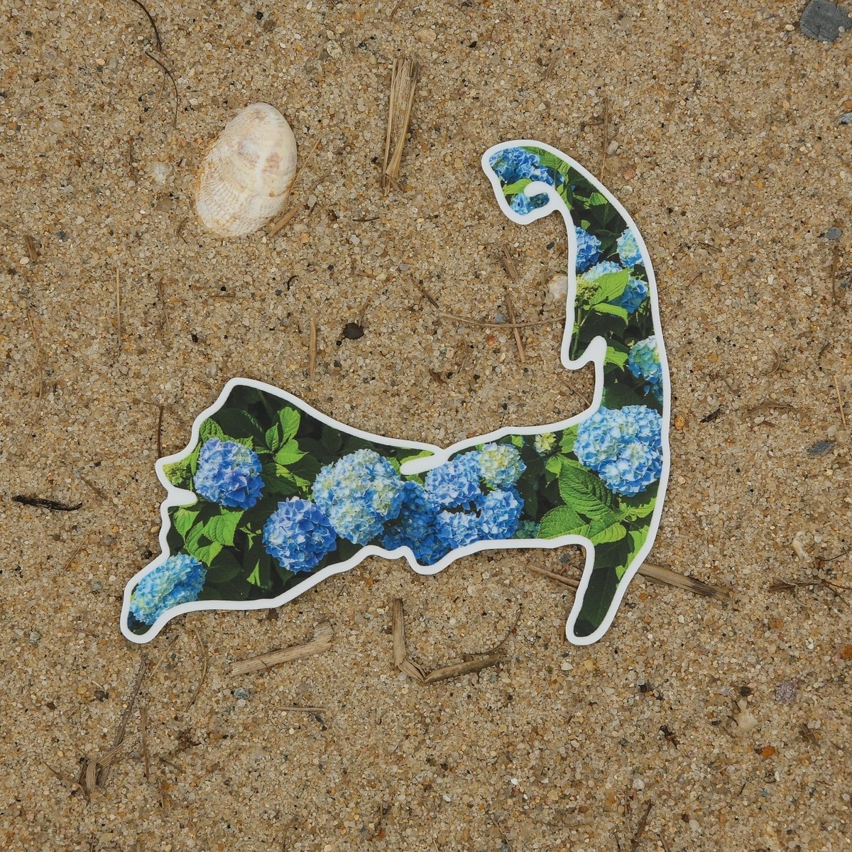 Cape Cod Hydrangeas Sticker