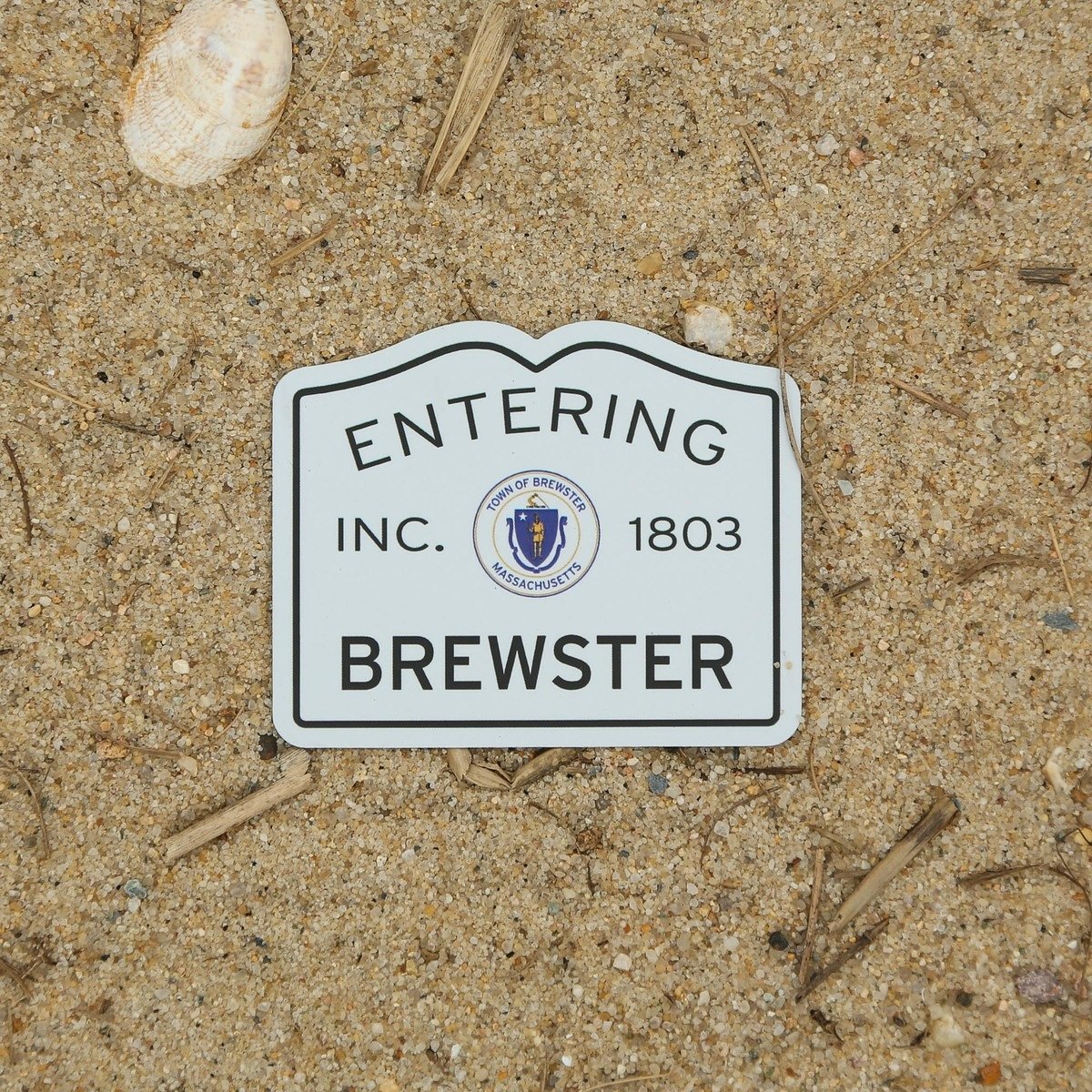 Entering Brewster Magnet main image