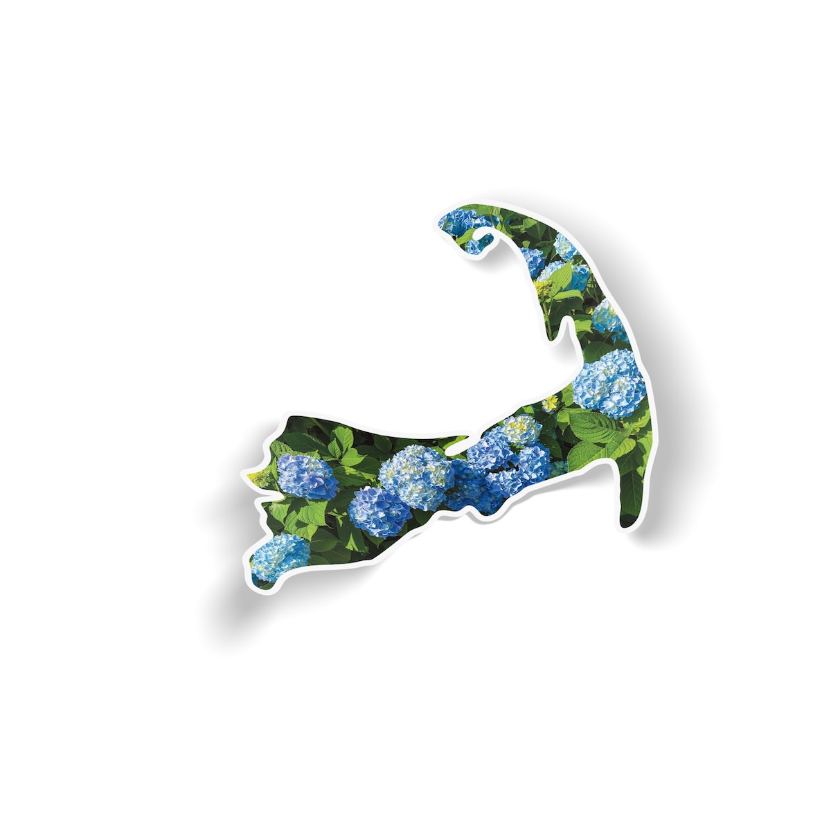 Cape Cod Hydrangeas sticker design 3